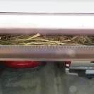 LeafGuard Holdings - Waste of money - Photo 1 - comment #2232619