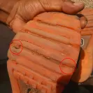 Nike - shoes smell like cat urine - Photo 3 - comment #1702528