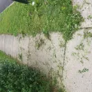 Safeguard Properties - Awful company - Photo 2 - comment #2251622