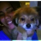 puppies234.com - RUDE & GHETTO - Photo 1 - comment #526390