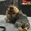 Banfield Pet Hospital - wellness plan rip off! - Photo 1 - comment #1684808