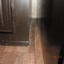Southern Energy Homes - Roof leak denial leaves family in moldy fire hazard - Photo 3 - comment #1629401