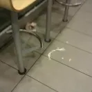McDonald's - Why are your ordering diet coke? - Photo 8 - comment #1175704