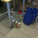 McDonald's - Why are your ordering diet coke? - Photo 10 - comment #1175704
