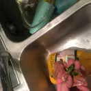 Sanderson Farms - Rip off - Photo 1 - comment #2007768