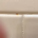 Miracle Method - Poor Quality/Sloppy Work - Photo 1 - comment #2017293