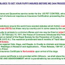Pet Adoption Consultant (Ministry of Animal and Livestock Husbandry) - wll not give me my puppy - Photo 2 - comment #1533309