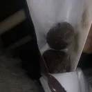 Krispy Kreme Doughnuts - Awful experience - Photo 1 - comment #2240044