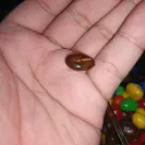 My M&M's - bad communication - Photo 5 - comment #2416292