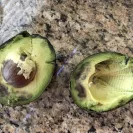 Albertsons - poorly managed store - Photo 1 - comment #2087870