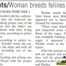 Amunra Cattery - careless breeder - Photo 1 - comment #648365