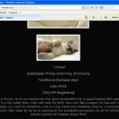 Amunra Cattery - careless breeder - Photo 8 - comment #651956