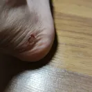 Hush Puppies - Cracked shoes - Photo 2 - comment #2528580
