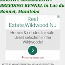 Beowulf Mastiffs - bad breeding practice - Photo 2 - comment #1629946