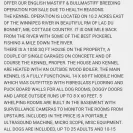 Beowulf Mastiffs - bad breeding practice - Photo 3 - comment #1629946