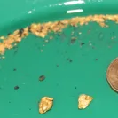 Felix Paydirt's Gourmet Gold - Misleading Advertising - Photo 1 - comment #1338010