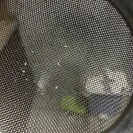 Romana Water - water - Photo 1 - comment #2001422