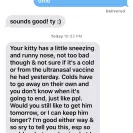 Ragdoll Cats - Sells sick cat / doesn't honor contract / deceptive - Photo 1 - comment #1825476
