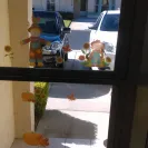 Weichert Realtors - the manager at weichert was not responsive - Photo 1 - comment #1752894