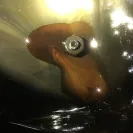 Accurate Engines - Horrible Service and Product - Photo 4 - comment #1834568