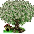 Compass National - Grant Funding - Grant Fraud - Photo 1 - comment #761303