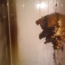 Whirlpool - microwave caught on fire - Photo 1 - comment #1687062