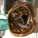 Whirlpool - microwave caught on fire - Photo 1 - comment #2136778