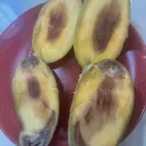 LuLu Hypermarket - lottery - Photo 1 - comment #2371105