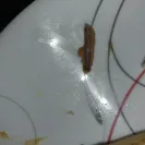 Delimex Taquitos - Bone found in a taquito! - Photo 1 - comment #2413316