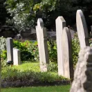 Find A Grave - Scam - Photo 1 - comment #2037674