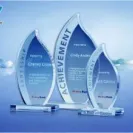 Diyawards.com - Scam or not? - Photo 1 - comment #1660529