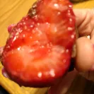 Shari's Berries / Berries.com - complete rip off - Photo 1 - comment #2040264