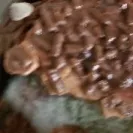 Shari's Berries / Berries.com - complete rip off - Photo 1 - comment #2136560
