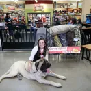 David Baron - Superdog - SCAM ALERT - David Baron - Sacramento Dog Trainer - Superdog - Photo 7 - comment #2348844