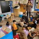 David Baron - Superdog - SCAM ALERT - David Baron - Sacramento Dog Trainer - Superdog - Photo 1 - comment #2348844