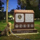 David Baron - Superdog - SCAM ALERT - David Baron - Sacramento Dog Trainer - Superdog - Photo 26 - comment #2348844