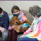 David Baron - Superdog - SCAM ALERT - David Baron - Sacramento Dog Trainer - Superdog - Photo 23 - comment #2348844