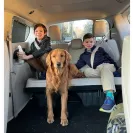 David Baron - Superdog - SCAM ALERT - David Baron - Sacramento Dog Trainer - Superdog - Photo 2 - comment #2348844