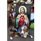 David Baron - Superdog - SCAM ALERT - David Baron - Sacramento Dog Trainer - Superdog - Photo 32 - comment #2348844