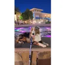 David Baron - Superdog - SCAM ALERT - David Baron - Sacramento Dog Trainer - Superdog - Photo 24 - comment #2348844