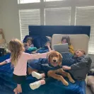 David Baron - Superdog - SCAM ALERT - David Baron - Sacramento Dog Trainer - Superdog - Photo 11 - comment #2348846