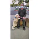 David Baron - Superdog - SCAM ALERT - David Baron - Sacramento Dog Trainer - Superdog - Photo 21 - comment #2348846