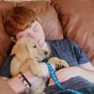 David Baron - Superdog - SCAM ALERT - David Baron - Sacramento Dog Trainer - Superdog - Photo 49 - comment #2348848