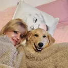 David Baron - Superdog - SCAM ALERT - David Baron - Sacramento Dog Trainer - Superdog - Photo 12 - comment #2348848