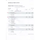 Iberia Airlines - Lost baggage and missing property - Photo 1 - comment #2240626