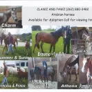 Willow Crest Equestrian Center - Fraud / id theft / forgery - Photo 1 - comment #1211415