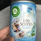 Air Wick - allergic reaction - Photo 1 - comment #1927457