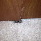 Carpet One Floor & Home - Faulty installation - won't honor warranty - Photo 1 - comment #1317810