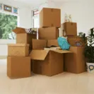 Sahara Packers & Movers - Fraud Movers and Packer Company - Photo 1 - comment #1646815