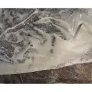 Sealtest / Agropur Dairy Cooperative - Smell bad - Photo 3 - comment #2257830